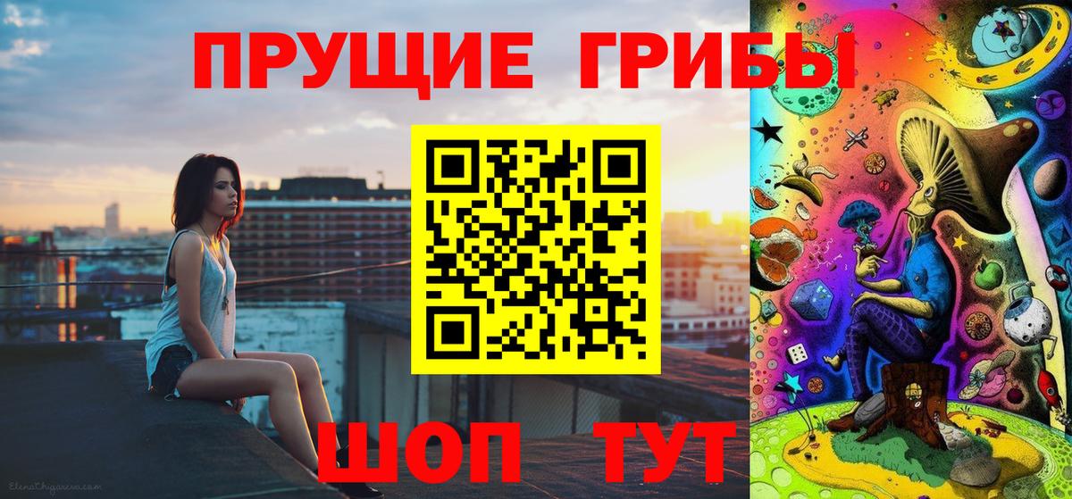 А ПВП Татарск