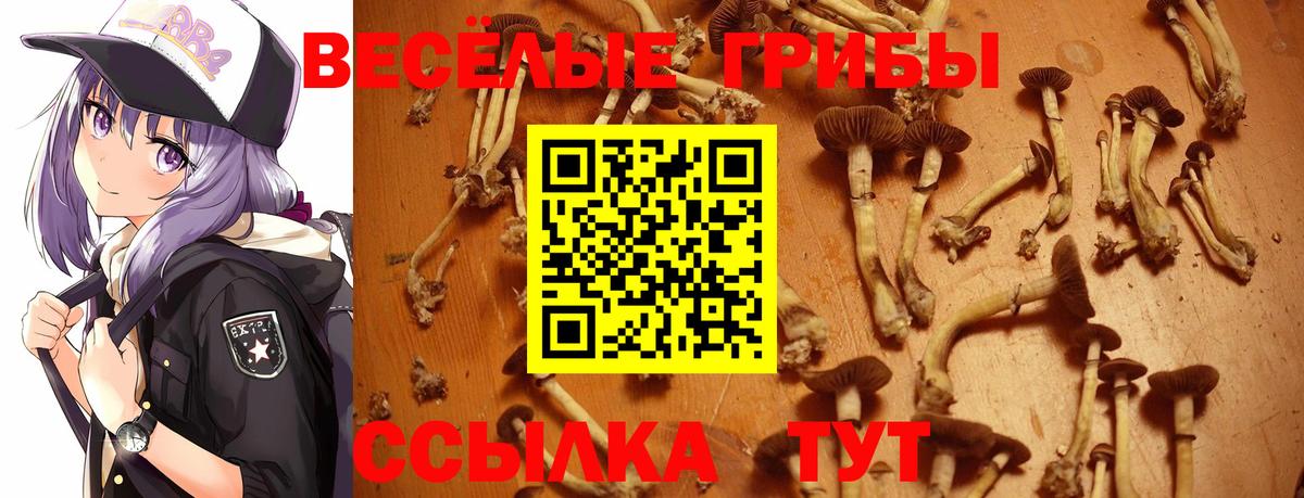 Татарск  Галлюциногенные грибы GOLDEN TEACHER  Вход с VPN 